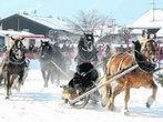 4000 Besucher erleben grandioses Pferdefest
