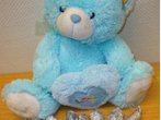 Teddy als Drogenversteck entlarvt