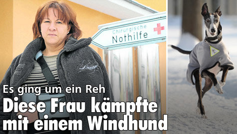 Es ging um ein Reh: Diese Frau kämpfte mit eine Windhund