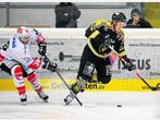 Löwen gut aufgestellt für Deggendorf