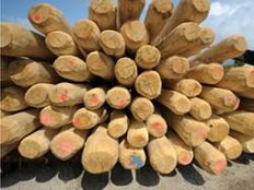 Lust am Renovieren beflügelt den Holzhandel