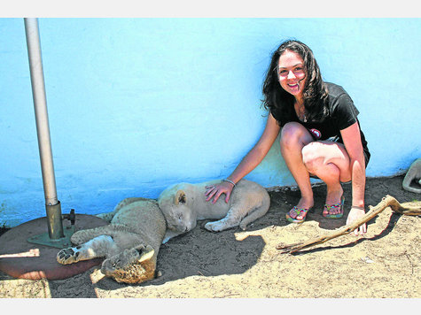 Babylöwen streicheln war für Sarah Janke einer der schönsten Augenblicke ihrer Tour durch Südafrika. foto: fkn Babylöwen streicheln war für Sarah Janke einer der schönsten Augenblicke ihrer Tour durch Südafrika. foto: fkn