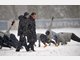 Dick eingepackt gab Otto Rehhagel im dichten Berliner Schneetreiben nach mehr als elf Jahren sein Comeback auf einem Bundesliga-Trainingsplatz.