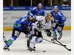SCR vs. Dresdner Eislöwen: Bilder vom Kellerduell