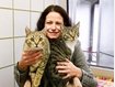 München: Das Tierheim bekommt ein neues Miezen-Paradies