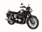 Triumph legt Sondermodell Bonneville T100 110th Anniversary Special auf