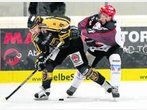 Löwen gewinnen erstes Play-off-Halfinale gegen Halle