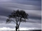 Hinterkaifeck lebt - Auf den Spuren eines sechsfachen Mordes