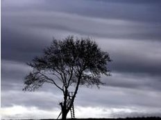 Hinterkaifeck lebt - Auf den Spuren eines sechsfachen Mordes