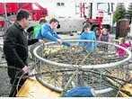 Neuer Nistplatz für Weißstörche: Metallkorb auf Thonstettener Kirche angebracht