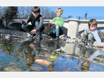 Schlechte Noten für Isar und Amper