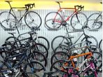Mountainbike, Trekkingrad oder Roadbike: Erkennen Sie Ihren Rad-Typ