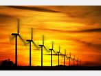 Mehrheit will Windpark im Forst