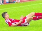 Starke Falken stechen