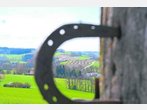 Münchner VHS nimmt Abschied vom Isental