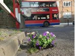 Guerilla-Gärtner in London: Wenn das Schlagloch zum Kunstwerk wird