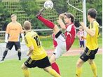 Falken holen einen Punkt beim Spitzenreiter