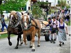 Gelebtes Brauchtum: Neue Maibäume im Kreis Garmisch-Partenkirchen