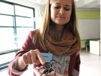 tz-Test im Zoo: Anti-Panik-Seminar bei Spinnen