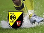 Profis aus Haching gastieren in Grasbrunn