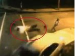 Auto fährt Teenager um: Video einer Überwachungskamera zeichnet den Unfall auf.
