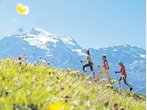 Neue Ziele, neue Trends, neue Themenwege