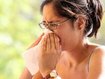 Wissenschaftler schlagen Pollen-Alarm