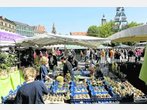 Händler fürchten um Viktualienmarkt