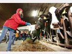 Landfrauen machen Schule: Wie macht die Kuh aus Gras Milch?