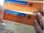 Grüne warnen vor übertriebenen Hoffnungen