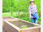 Vandalismus und Diebstahl im Umweltgarten: Gärtner haben die Nase voll