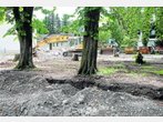 Bäume weg, Gasthof aber nicht vom Tisch