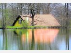 Tagblatt-Fotograf gewinnt Brucker Buidl
