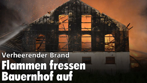 Verheerender Brand bei Dorfen: Lagerhalle fällt Flammen zum Opfer