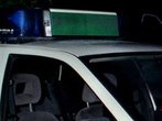 Frauenleiche im Sachsenwald gefunden - Mordkommission ermittelt