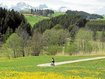 Durch Bären-Land