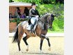 Gut mitgehalten hat Victoria Michalke beim gro&szlig;en Reitturnier Pferd International in M&uuml;nchen. foto: Schreiner