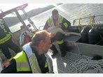 Erst gefangen, dann befreit: Feuerwehr rettet Schwan