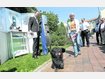Kampf den Häufchen: Hundekotbeutelspender aufgestellt