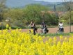 Die schönsten Radfernwege durch Deutschland