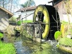 Vorfühungen und Aktionen beim Mühlentag in Schwabsoien