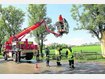 Blitz spaltet Baum