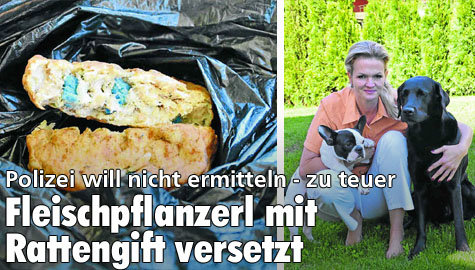 Fleischpflanzerl mit Rattengift versetzt