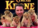 Löwen-Babies bei Krone: Drillinge!