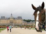 Vom bekannten zum unbekannten Paris - Zu Pferde in der Ile-de-France