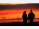 Die irren Ergebnisse der Sex-Forscher
