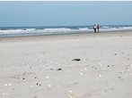 Die Insel der Muschelsucher - Strandurlaub auf Schiermonnikoog