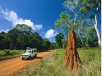Australien - Queensland: Safari durch die Mareeba-Feuchtgebiete