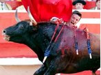 Stierhatz von Pamplona: Das Protokoll des Leidens