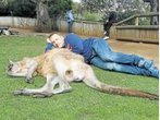 Tatort-Kommissar Richy Müller ermittelt in Australien